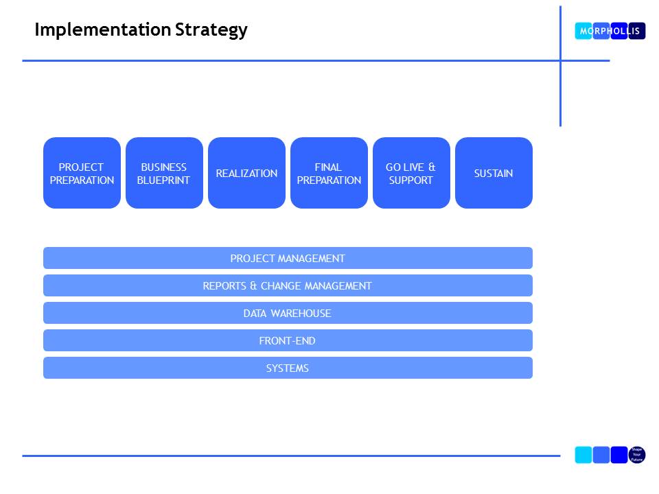 Implementation Strategy